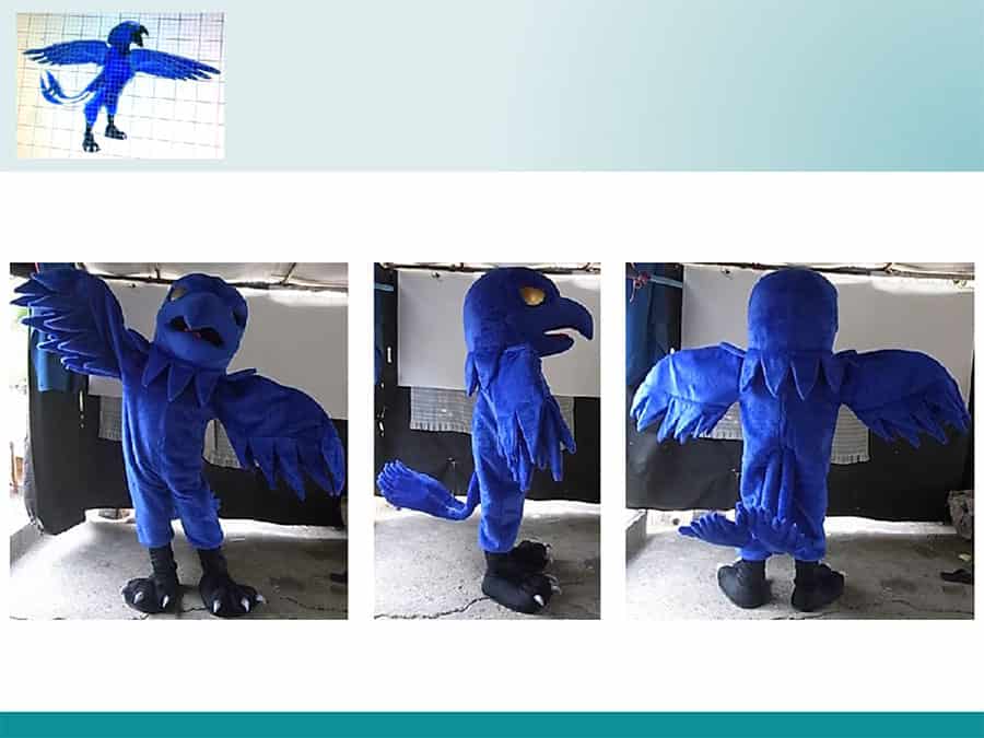 BLUE-BIRD