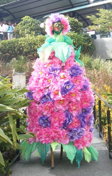 stilt flower