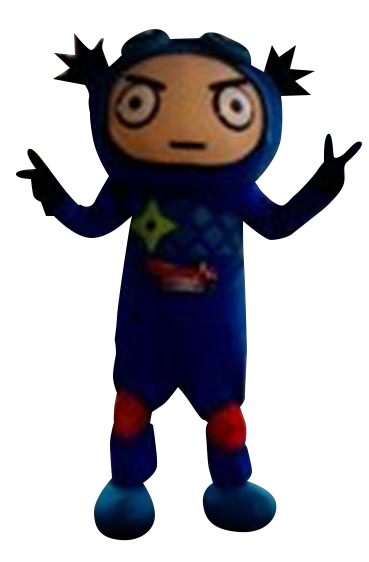 mascot21 copy