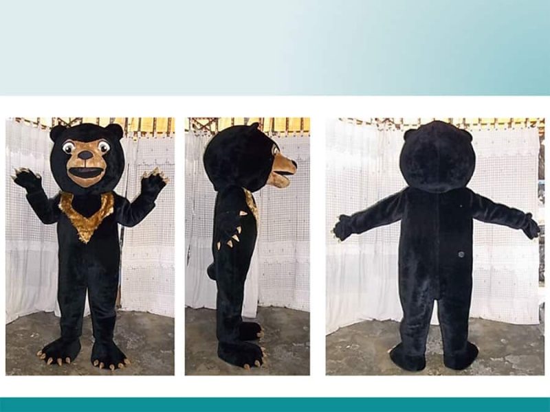 BLACK-BEAR