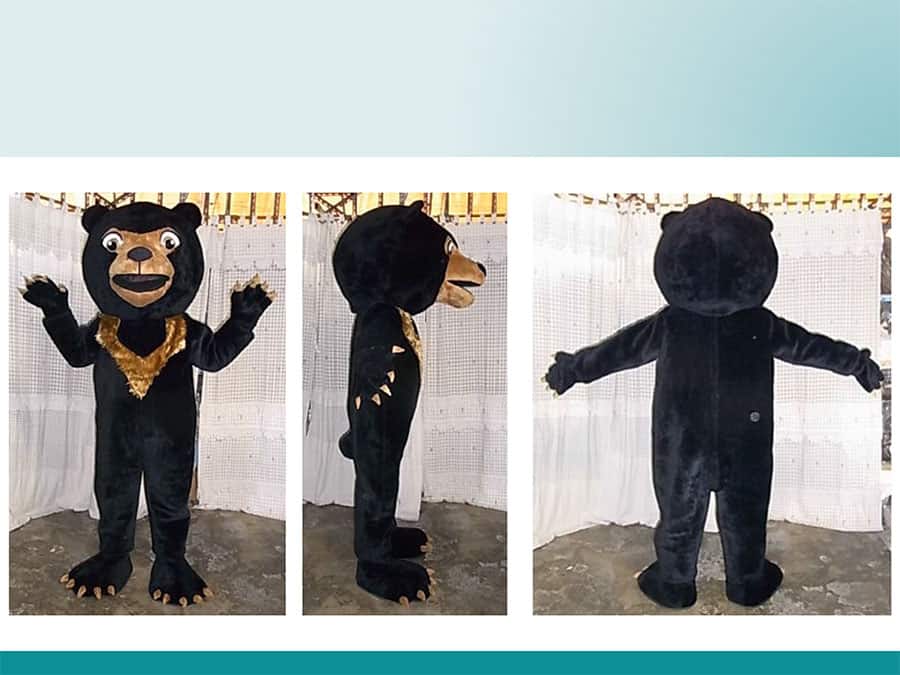 BLACK-BEAR