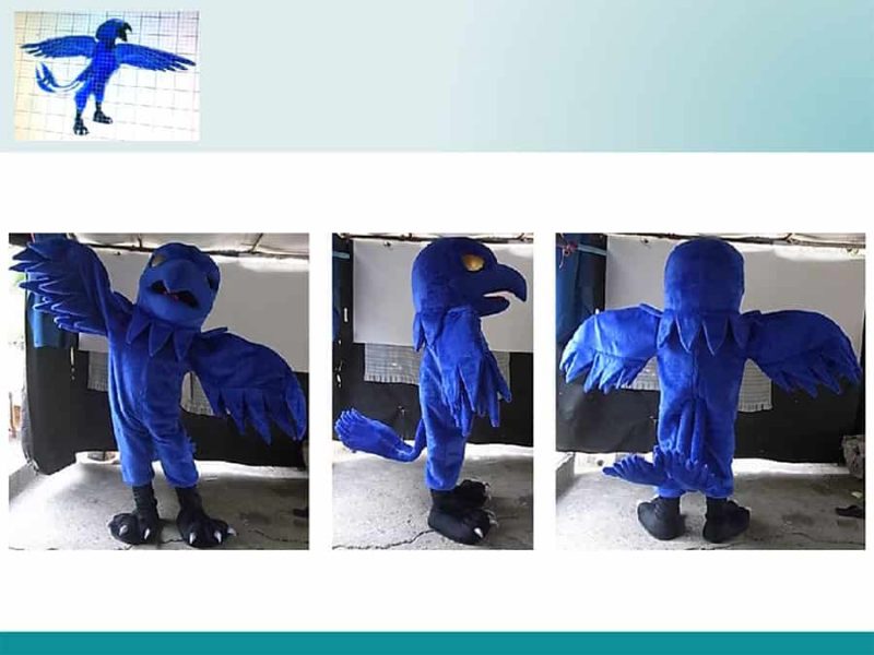 BLUE-BIRD