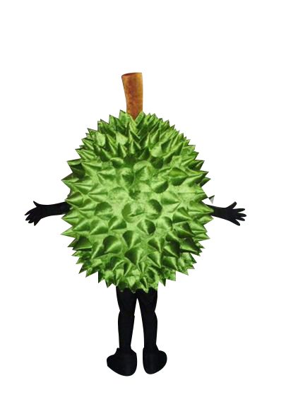 DURIAN-rws copy