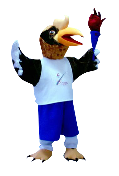 bird-s04