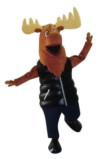 moose-1 copy