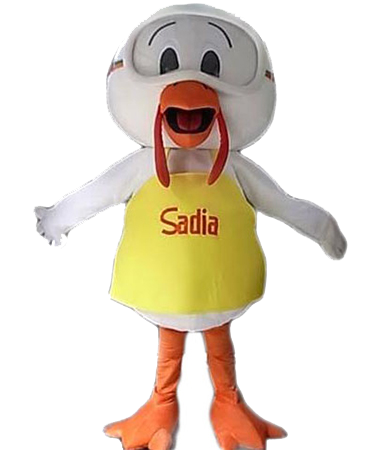 Sadia