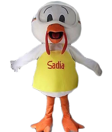 Sadia